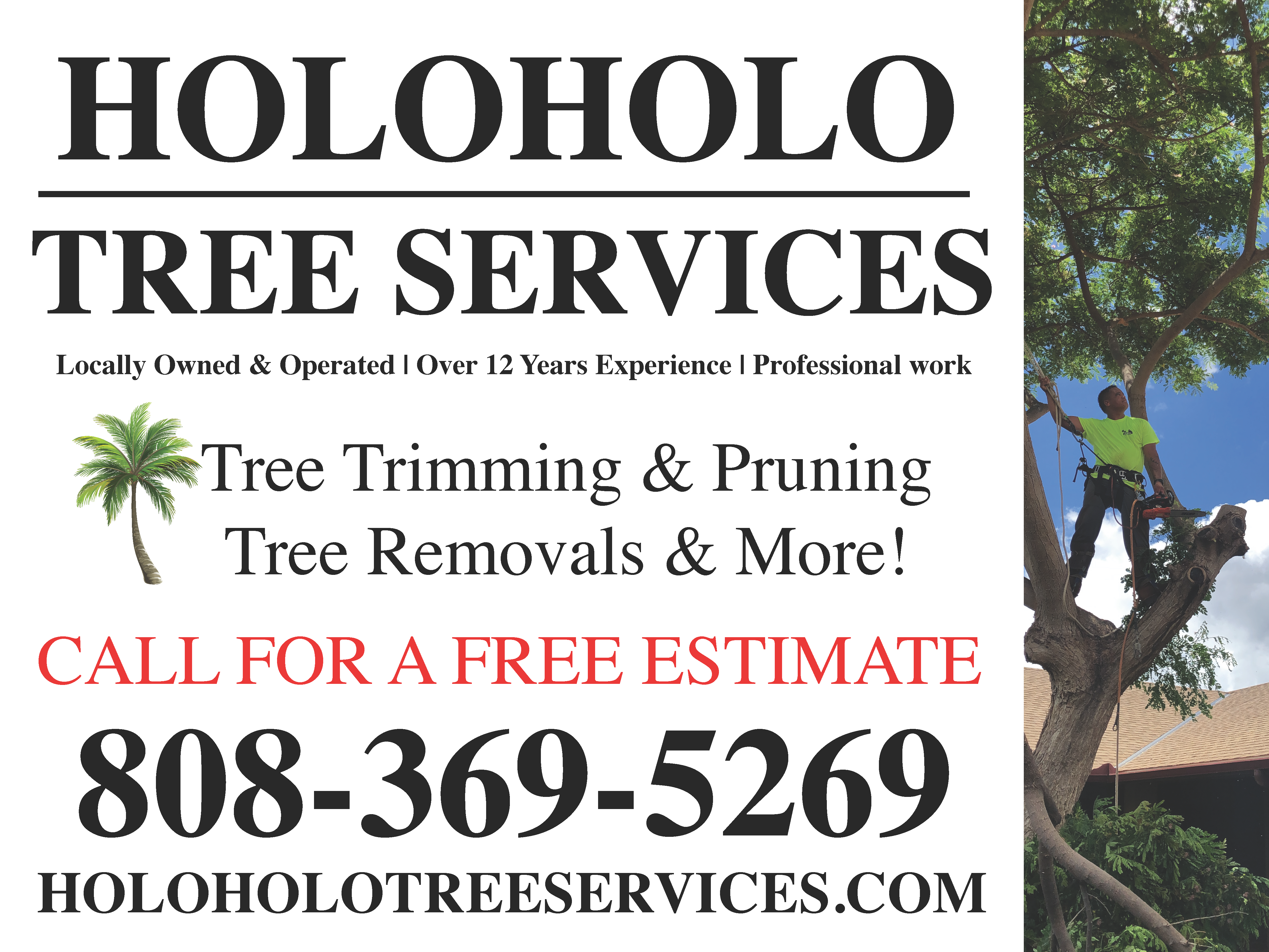 Holoholo Tree Services