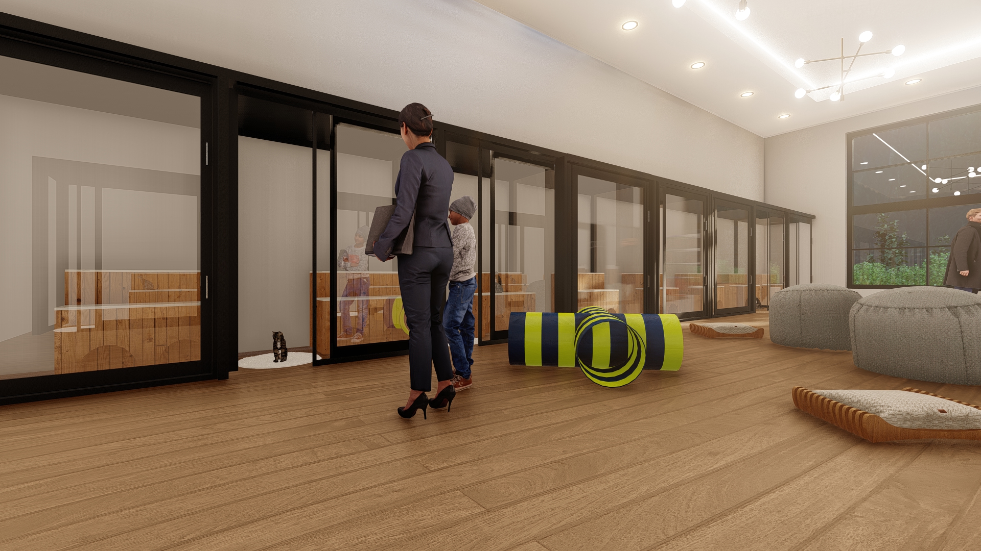 In our current space, we have no room for our homeless cat population. 