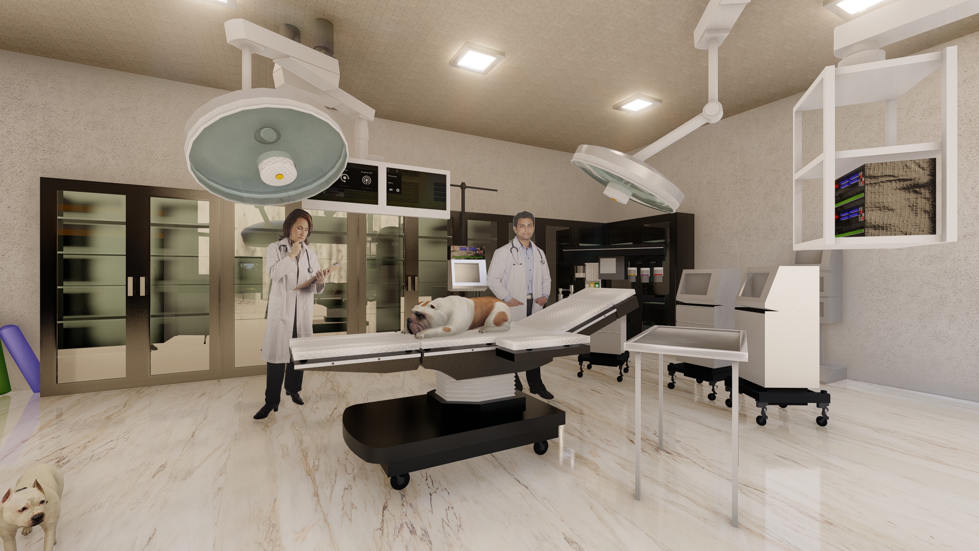The new Hotel will offer a much needed low-cost vet clinic. 