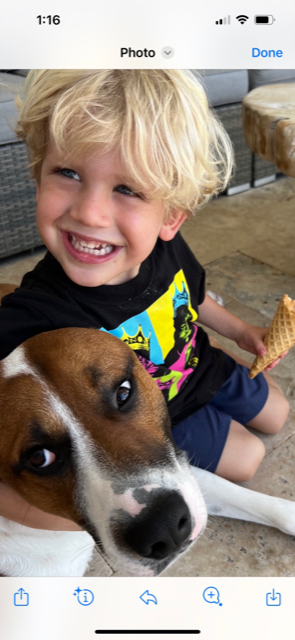 DD and Mudd, rescued from The Bahamas