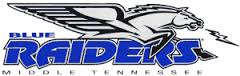 MTSU Raider Baseball