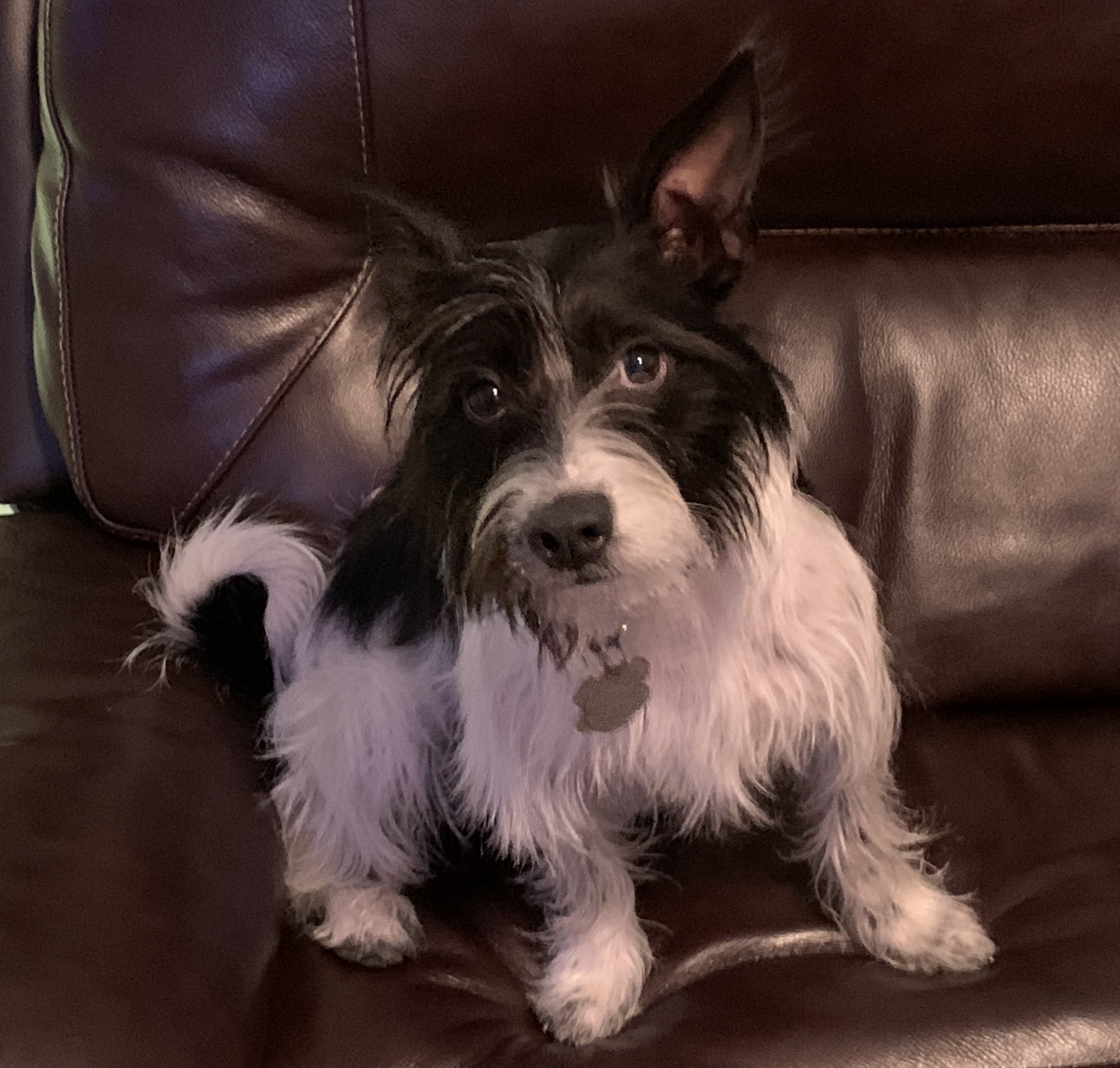 Waiting for Attention