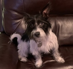 Waiting for Attention