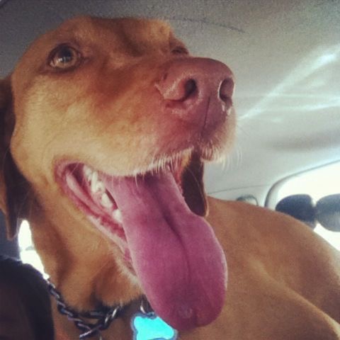 How I look every year when I learn how much money Pine Tree has raised for pediatric cancer research.