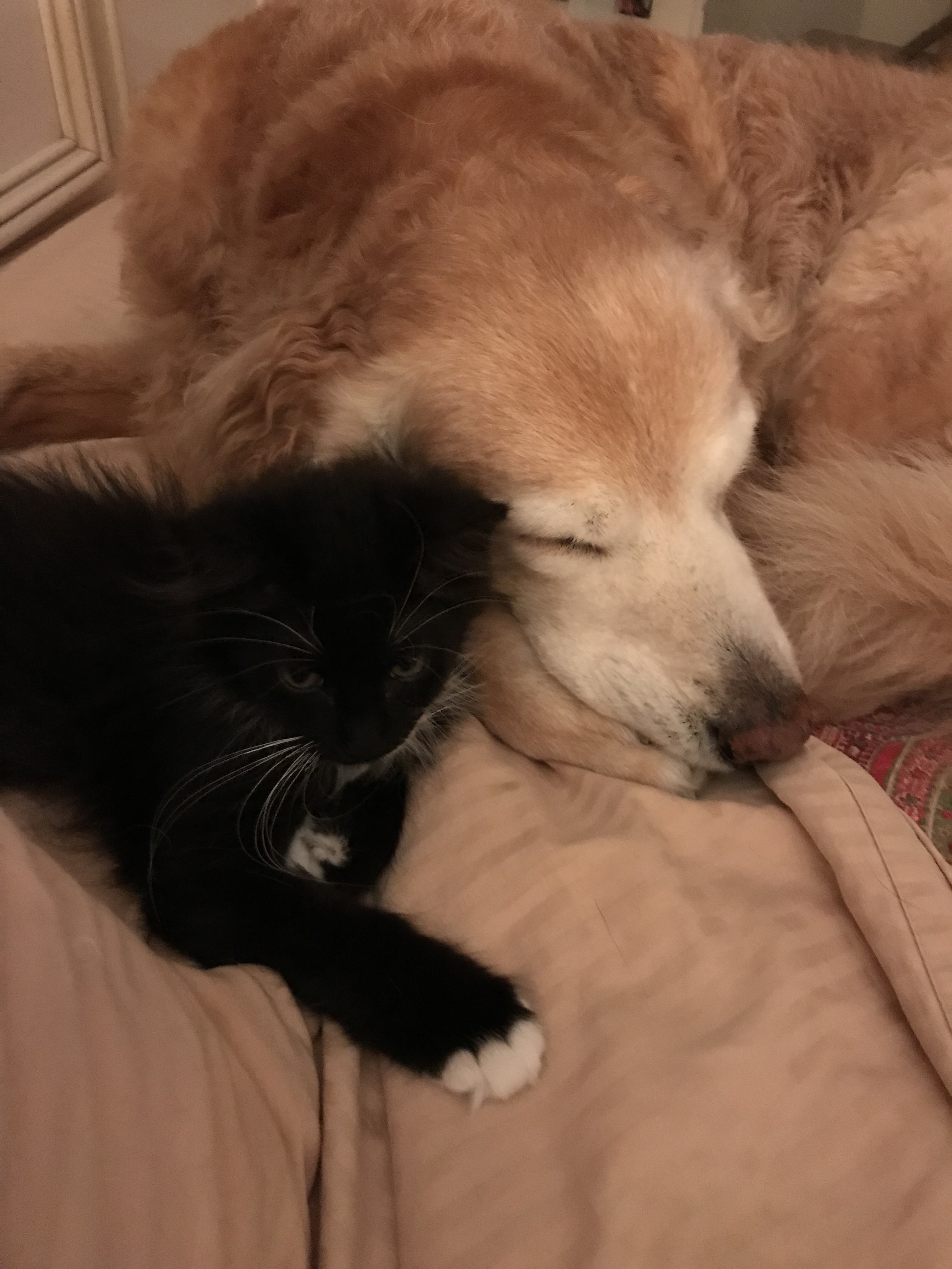 Carly (age 10) and her new sister, Camille. age 4 months