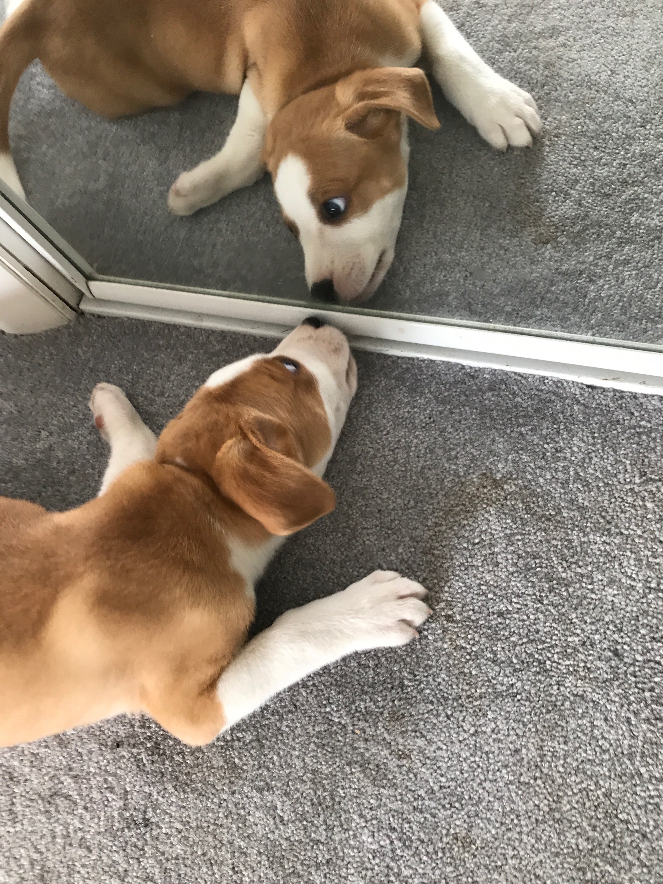 Flash gets in touch with his inner self