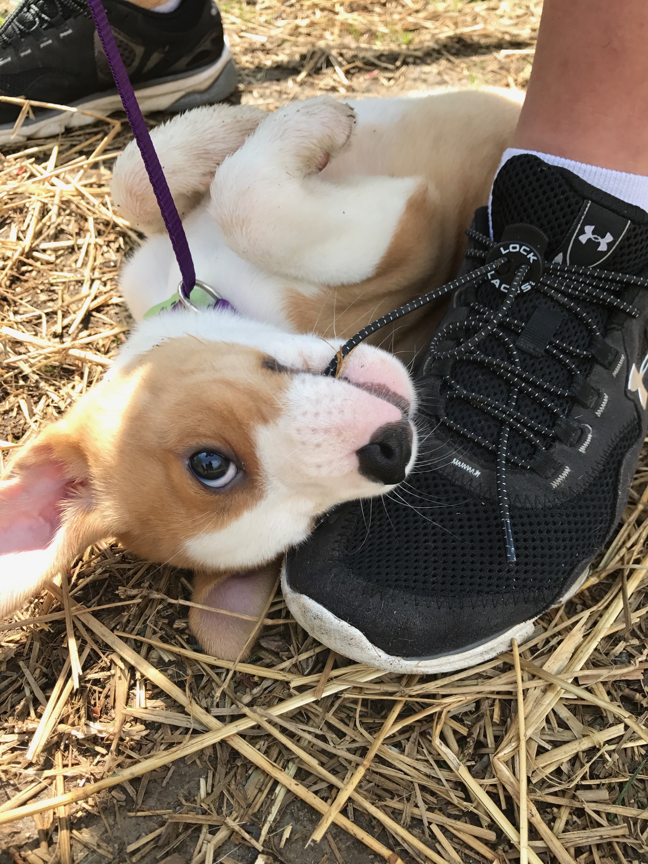 Flash meets his Person