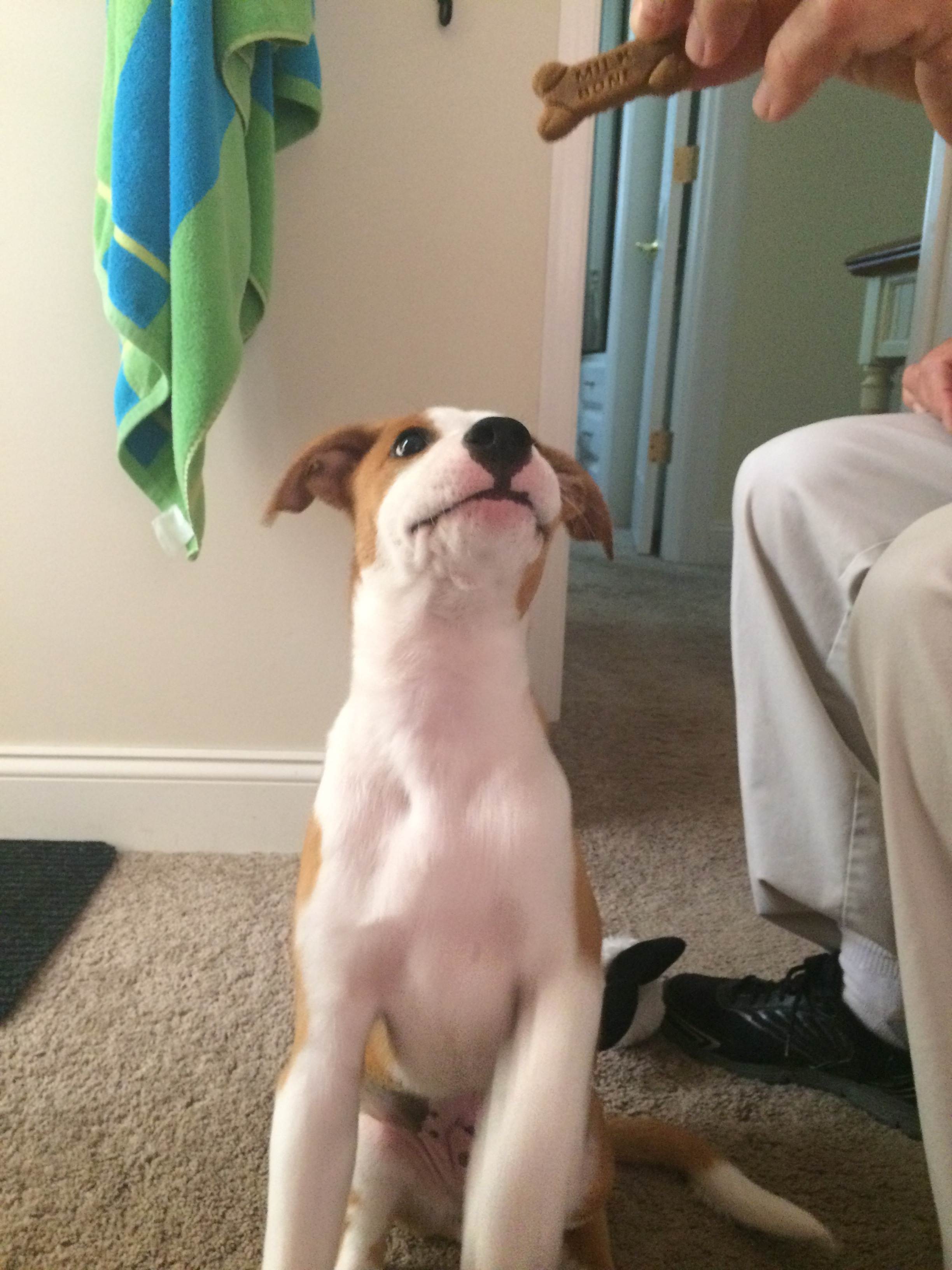 Flash learns how to use the shower