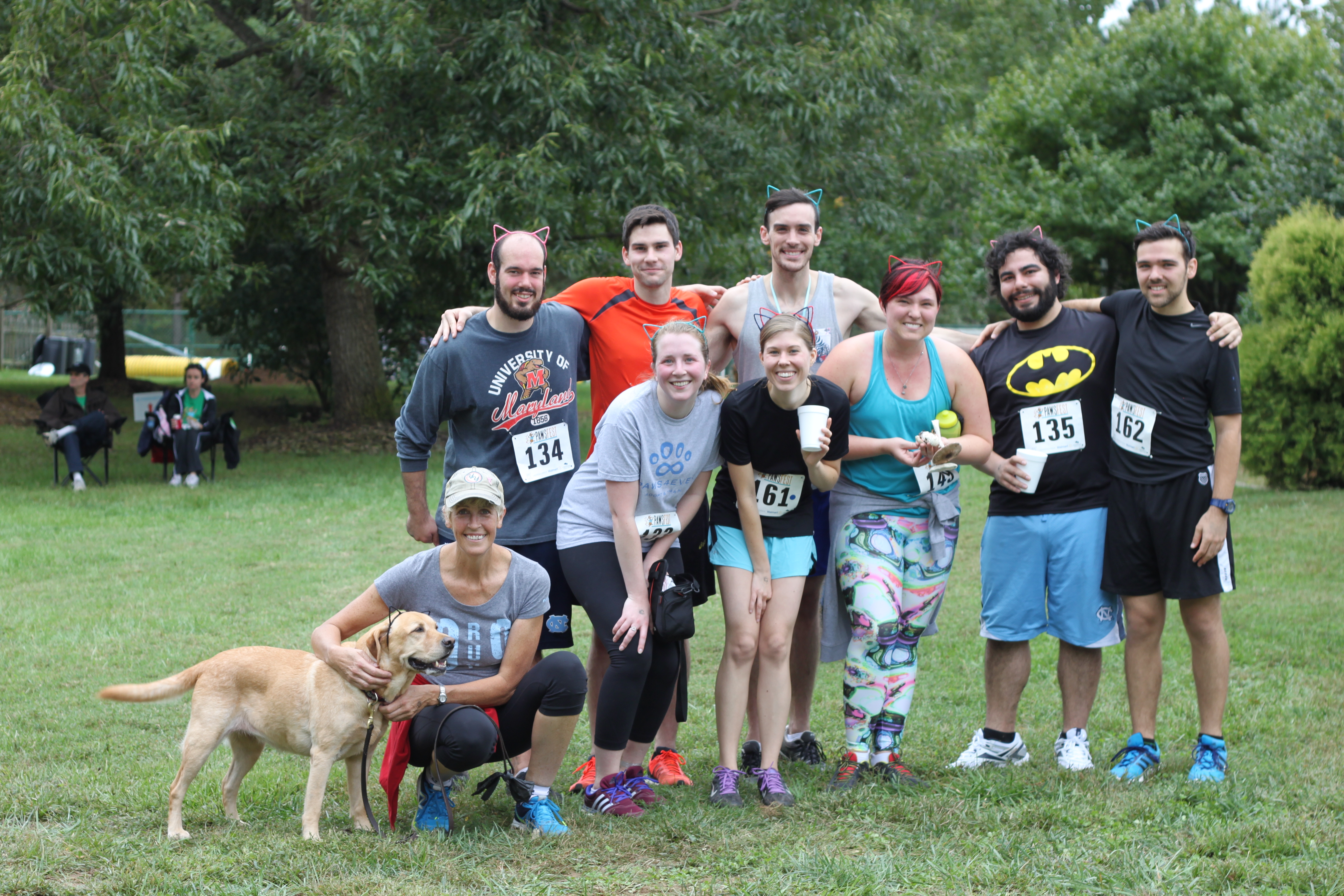 Not Kitten Around at PawsFest 2015