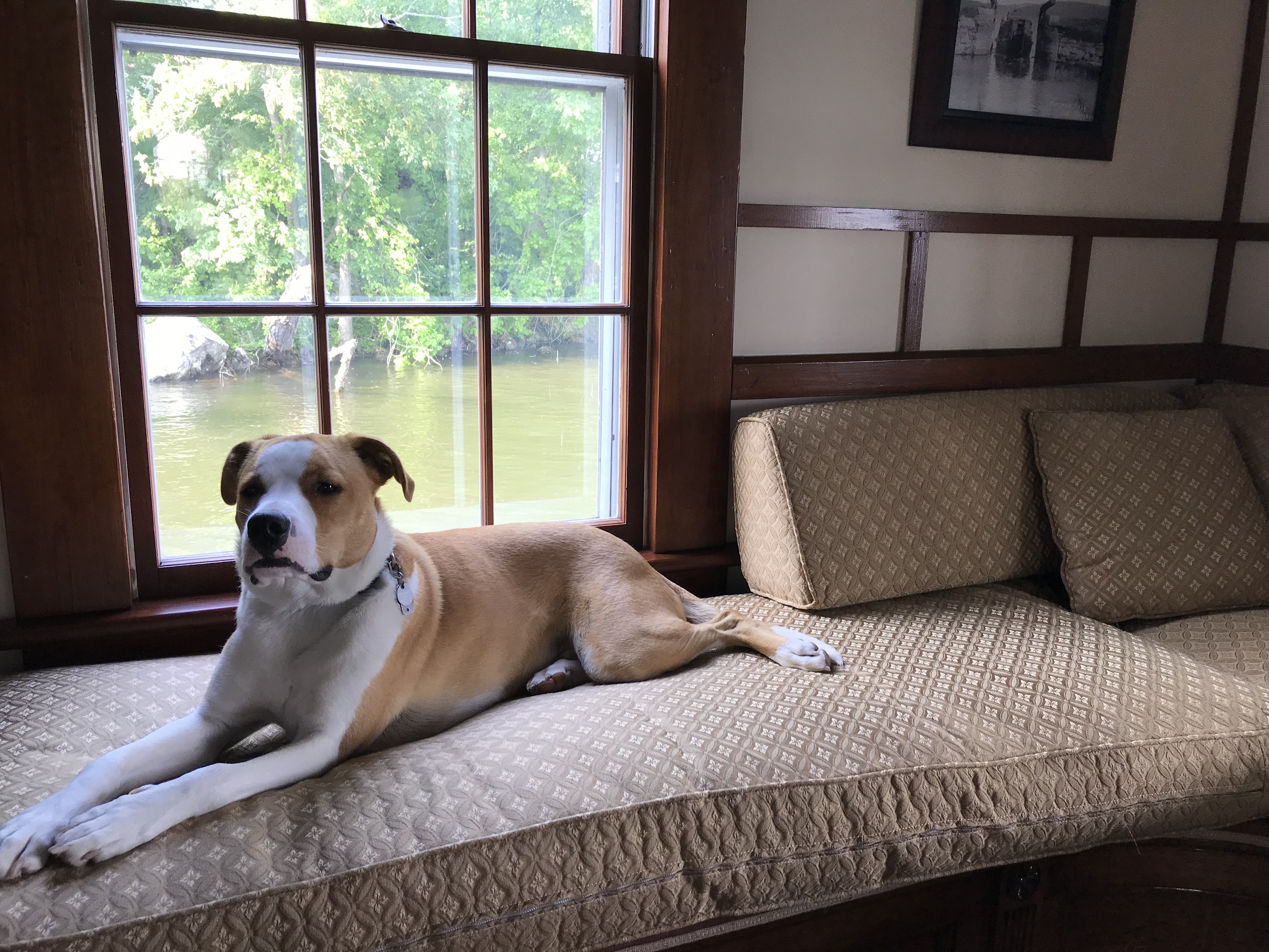 Flash prefers waterfront views