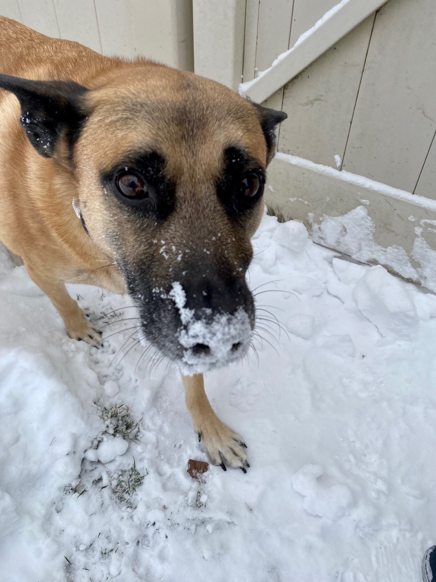 Fun in the snow!