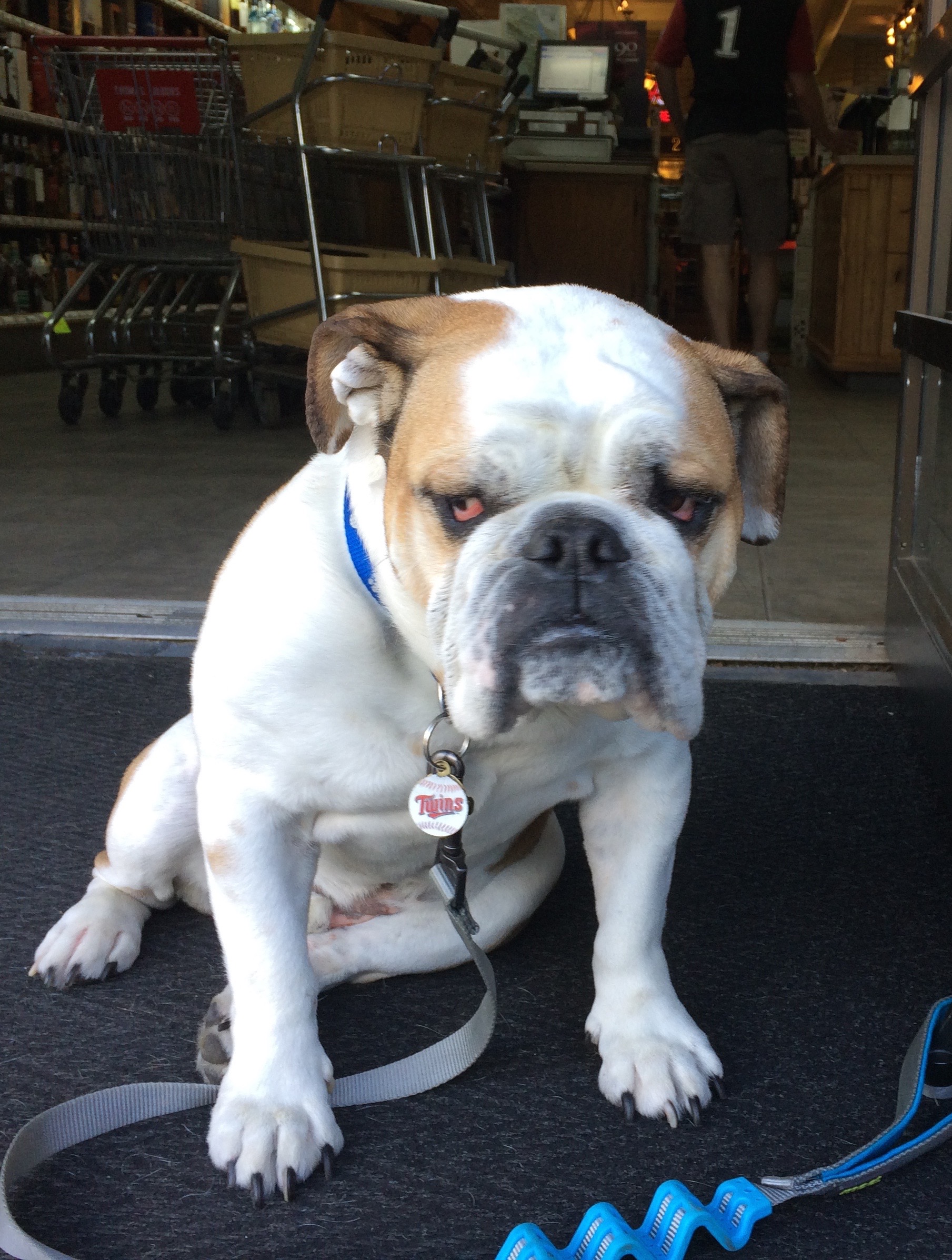 How I look every year when I lose at Pine Tree.