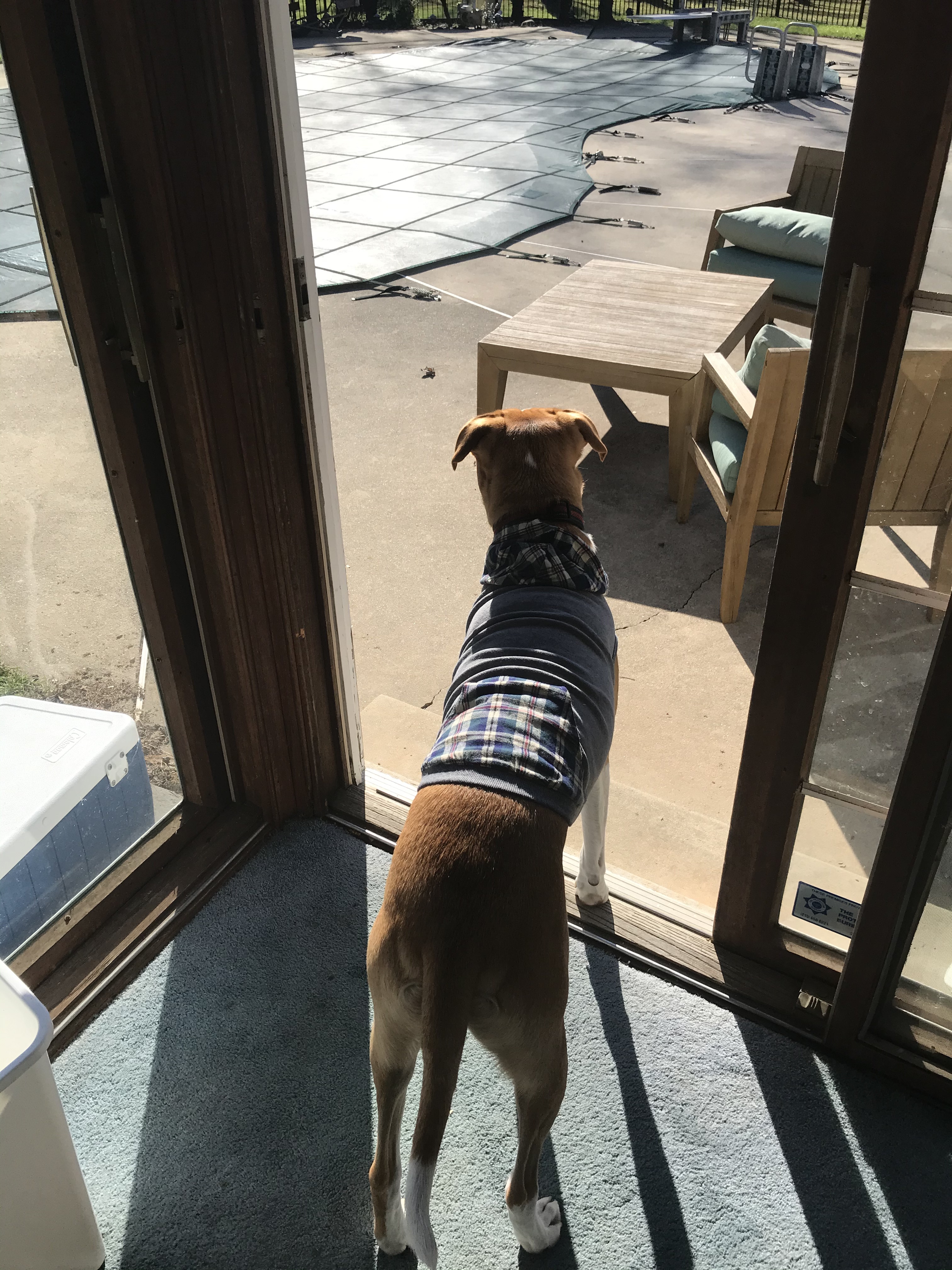 Flash heads out into the world