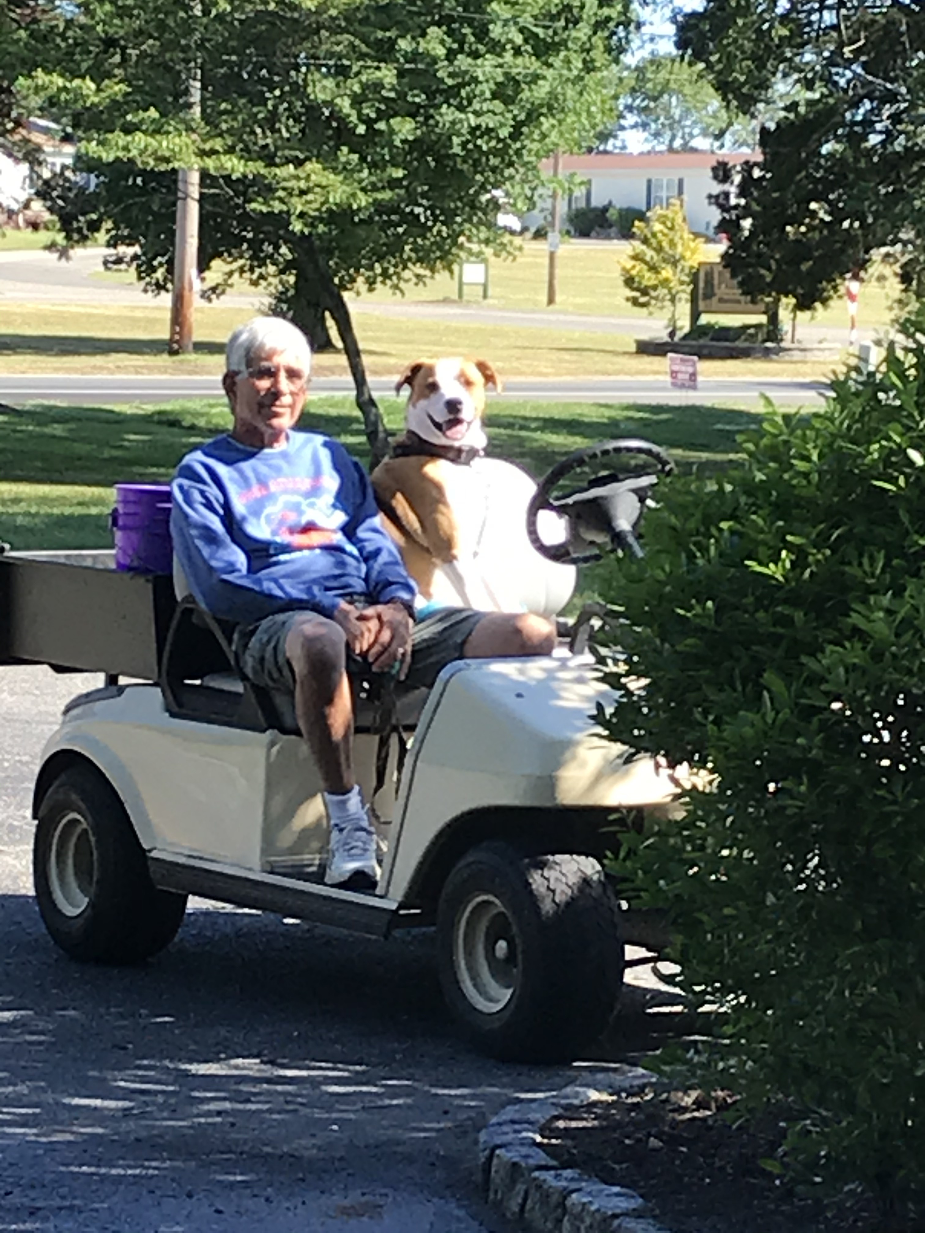 Flash takes the pop pop for a ride