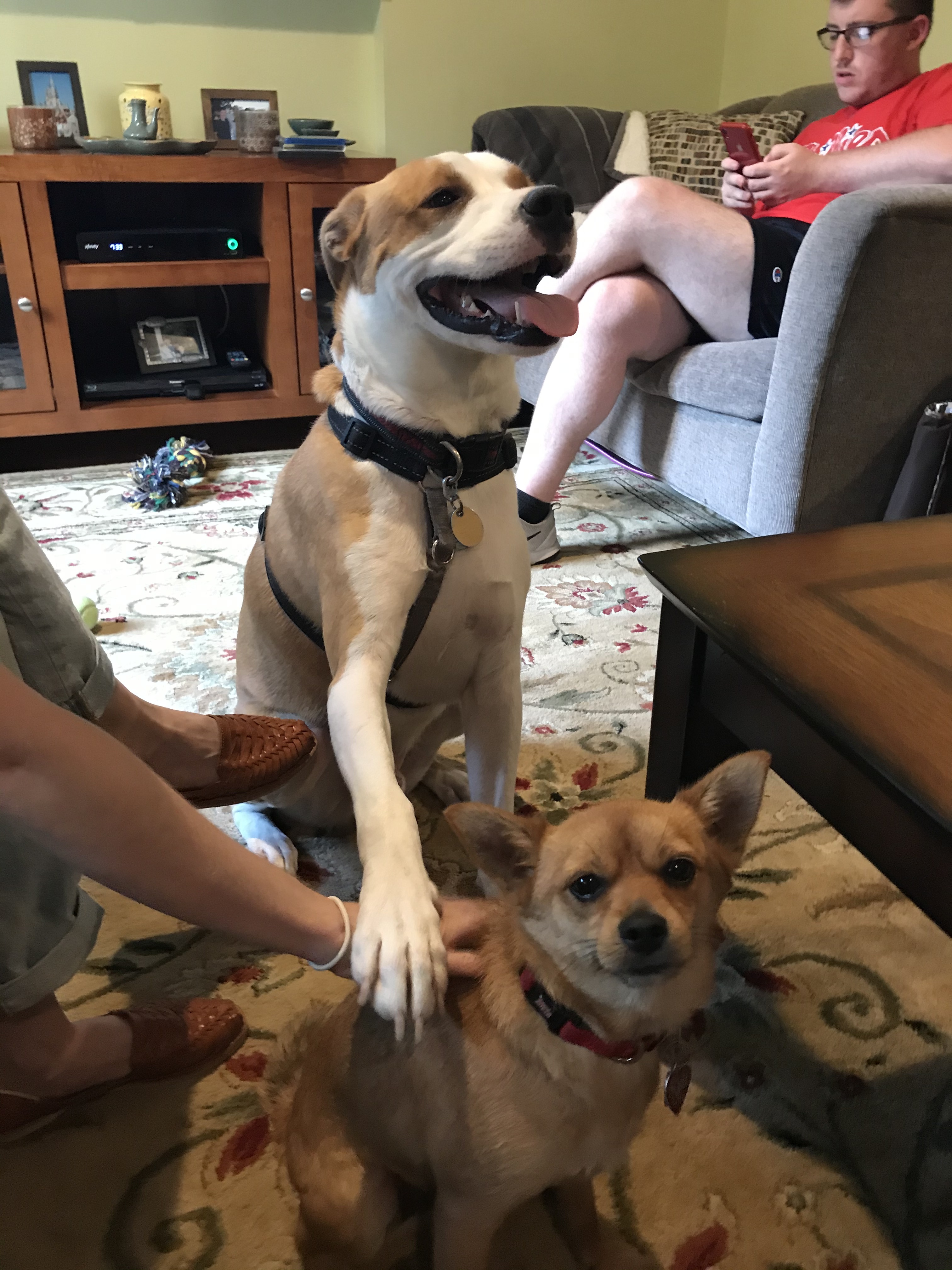 Flash playing with and protecting his fur cousin