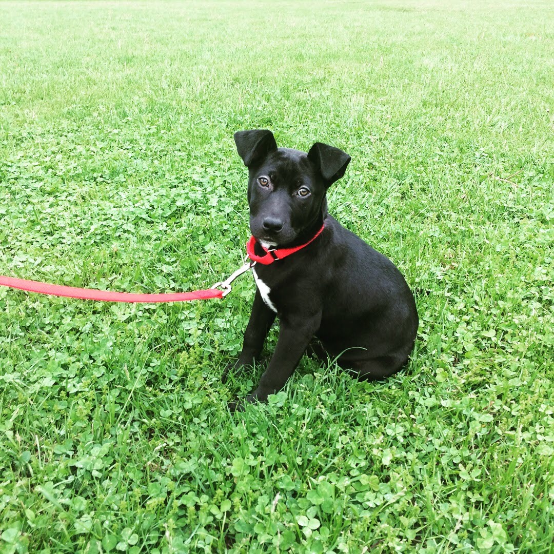 Sasha's First Day Home