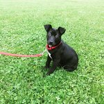 Sasha's First Day Home