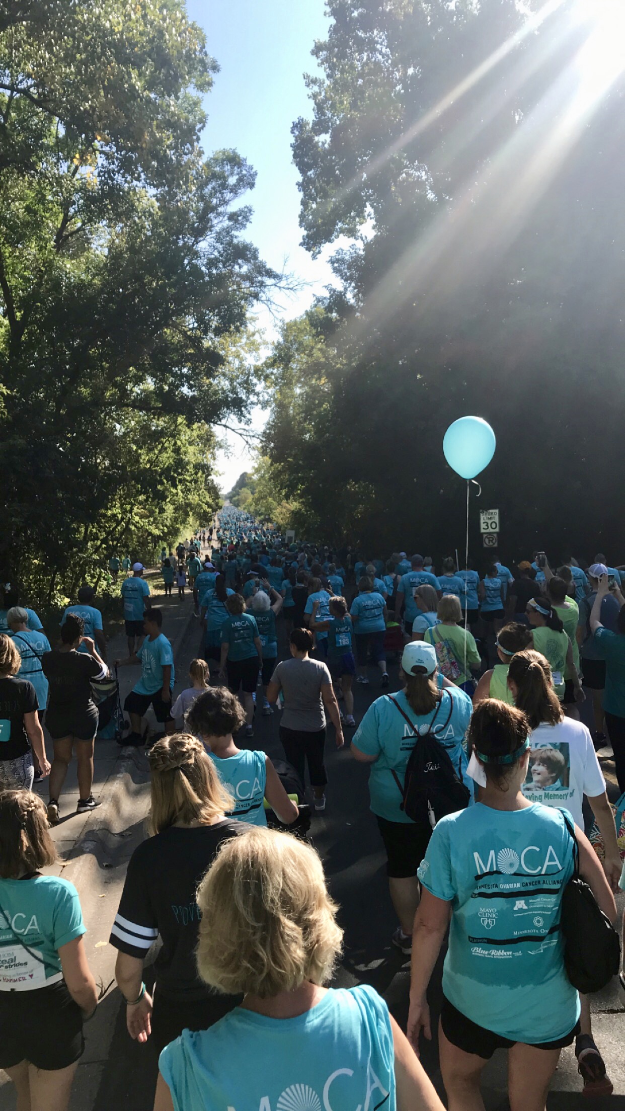 MOCA Walk 2018