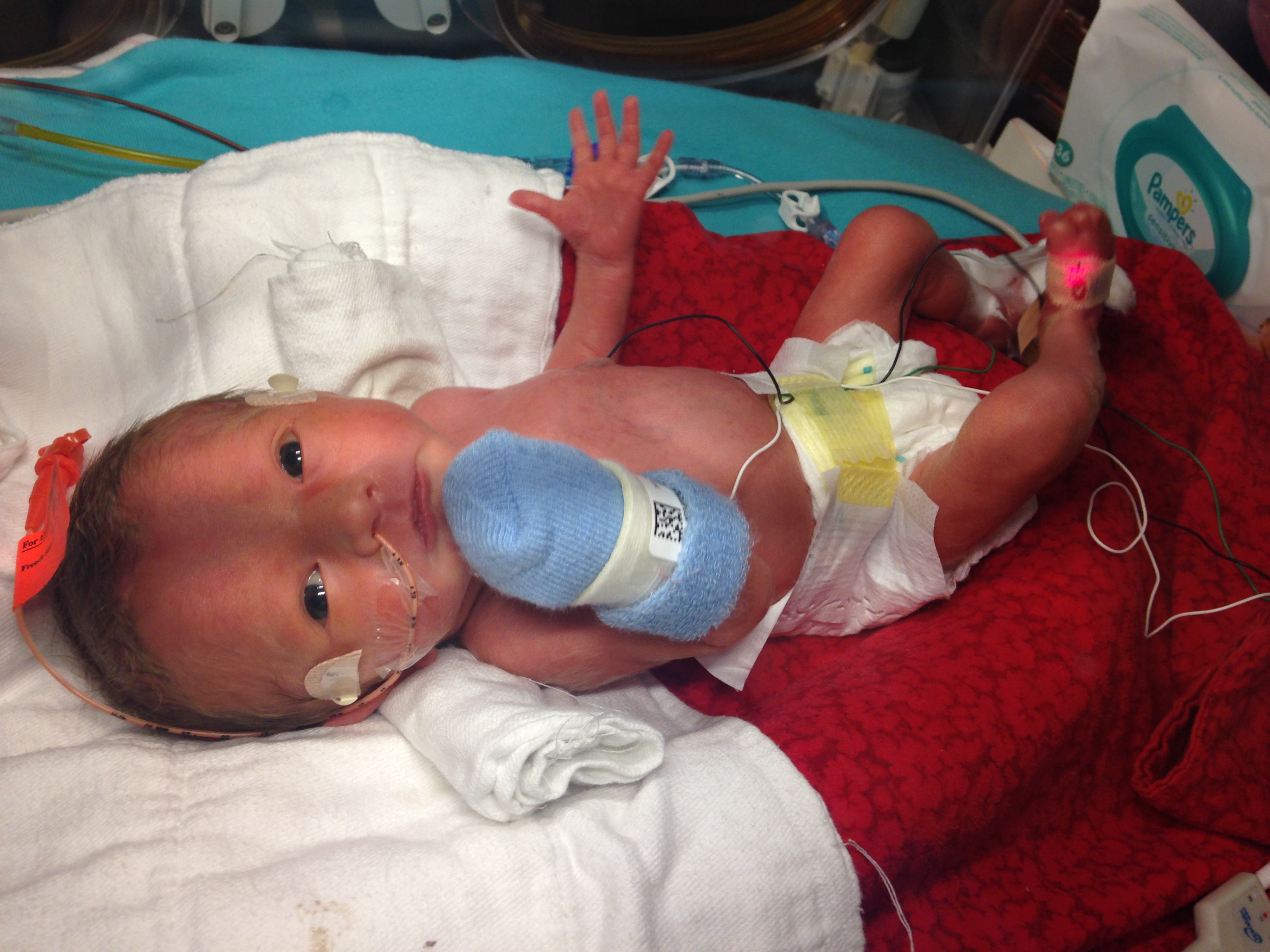 Our little man - A few days old!