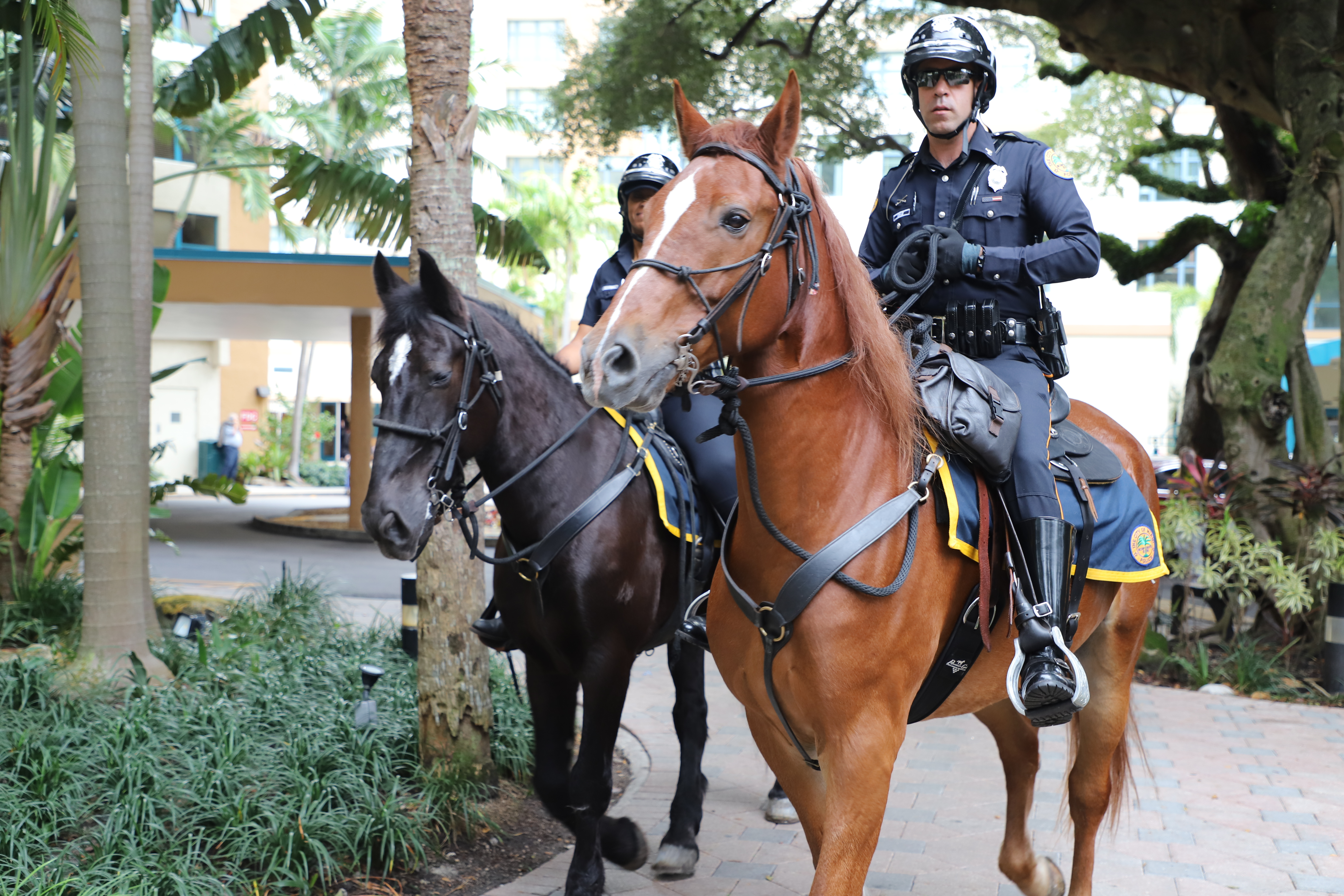 Miami-Dade Mounted Police