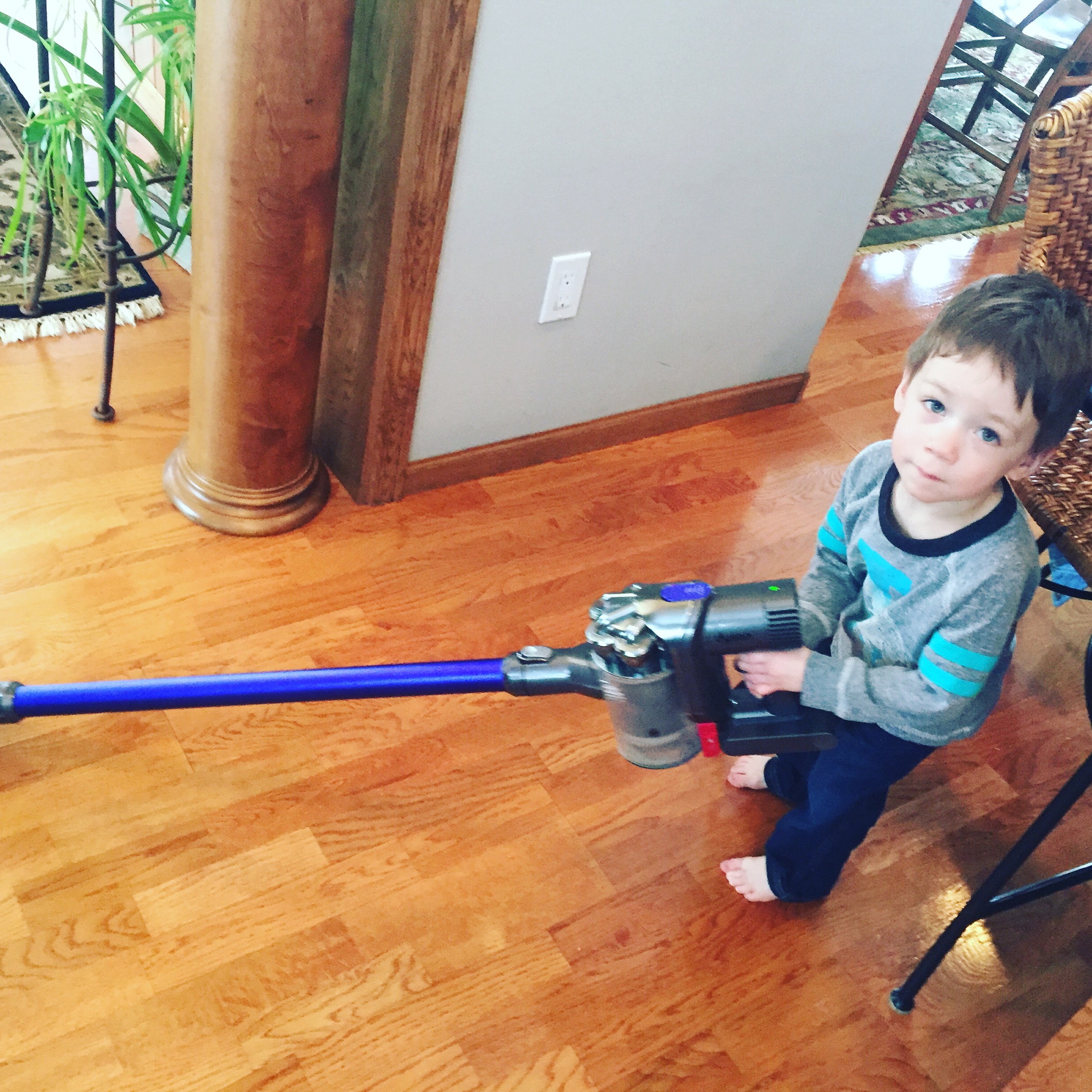 Leo's current favorite: Vacuuming!