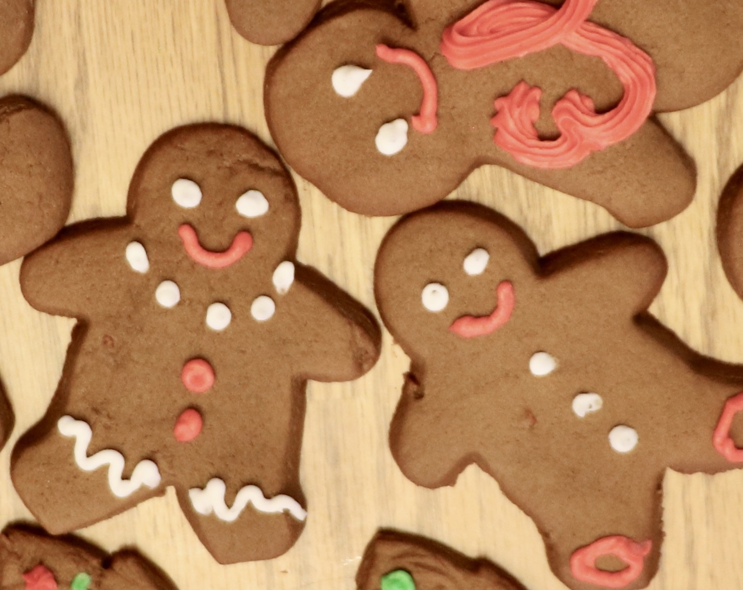 These guys need a home!!