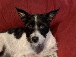 Chilling in the Bean Bag