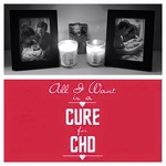 Our Angel Babies...Why We Walk!