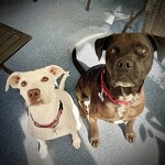 "Meet my big brother, Berek!"