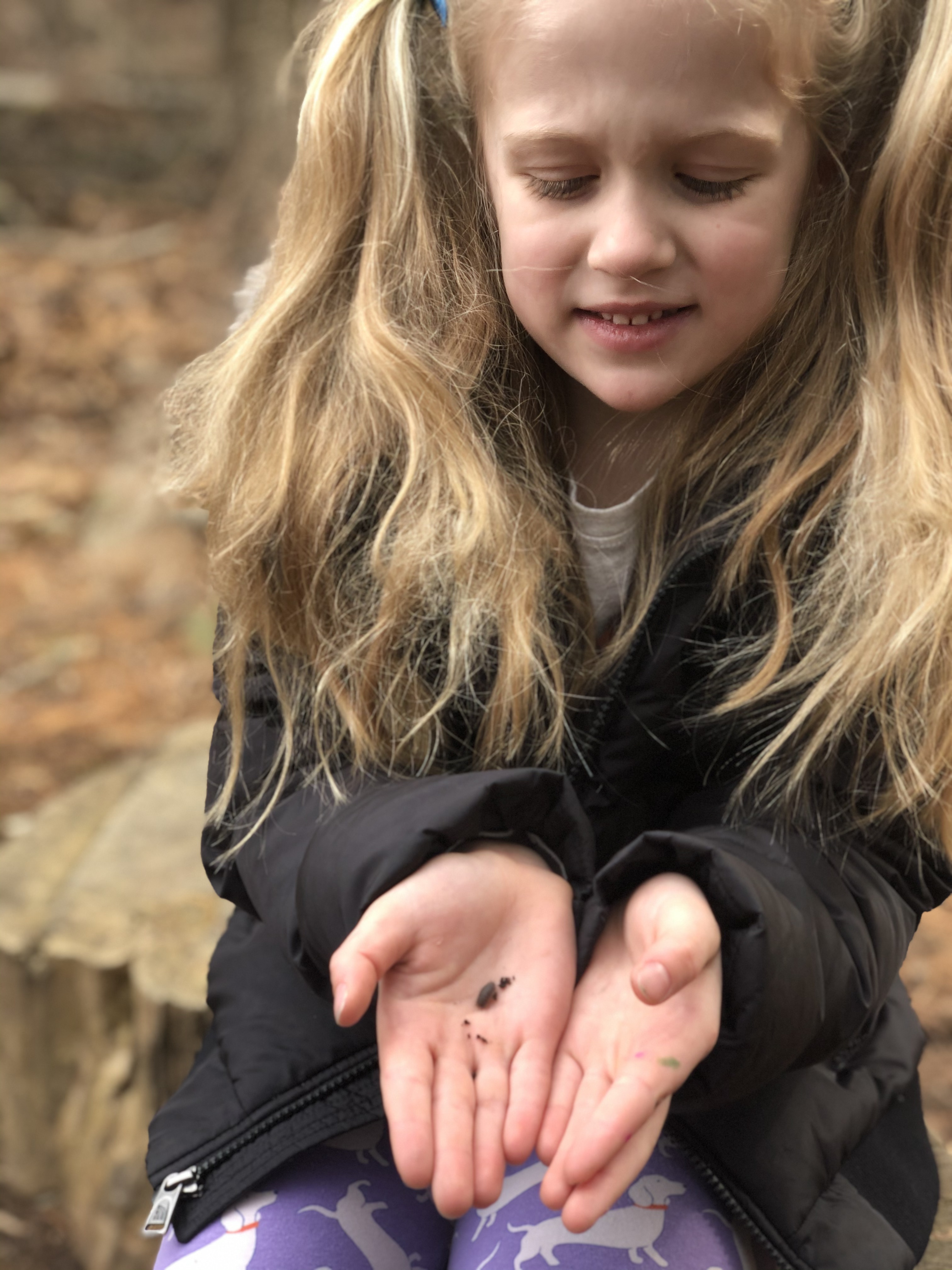 Meet Rosy the Roly Poly! Don't worry I put him back in his home.