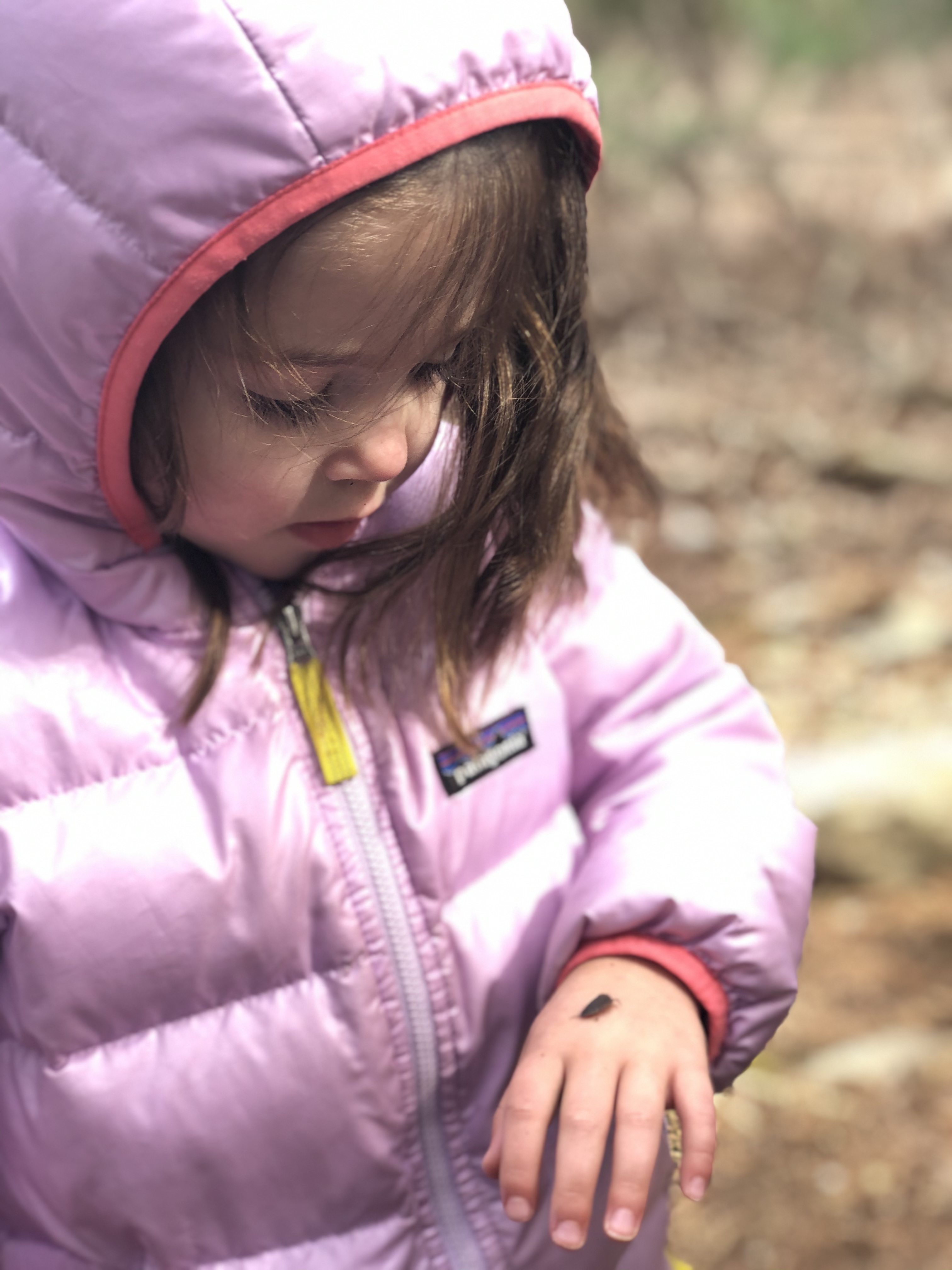 Meet Bug! My little sis isn't that good at names yet.