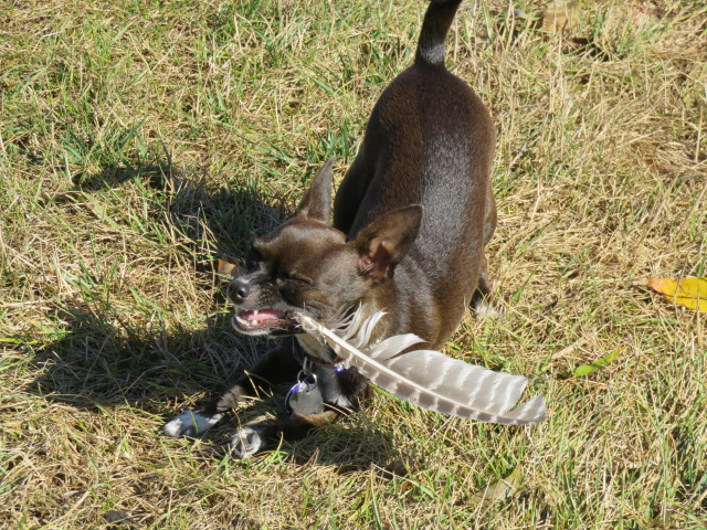 This one didn't get away !