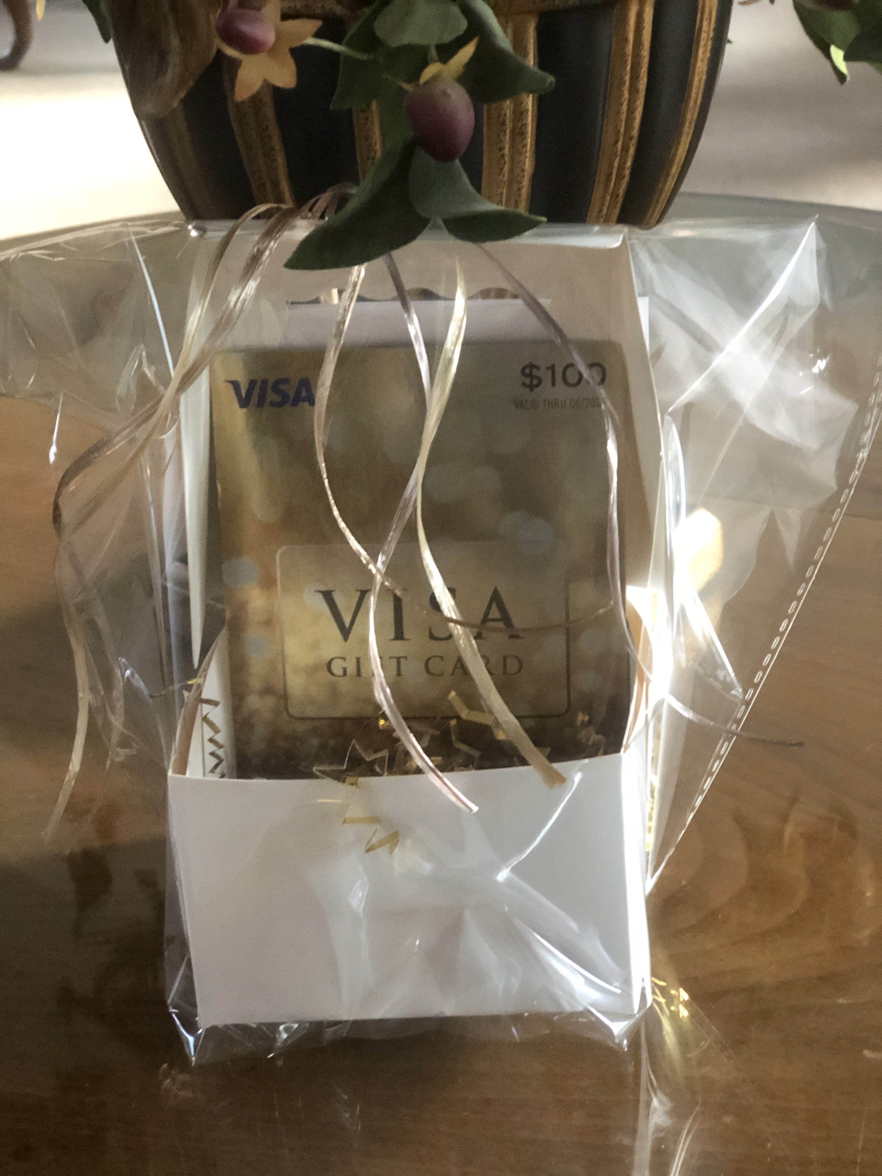 #23 - $100 Visa Gift Card