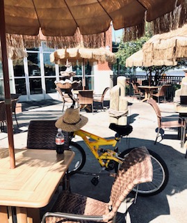 Missy's bike - will you join me?