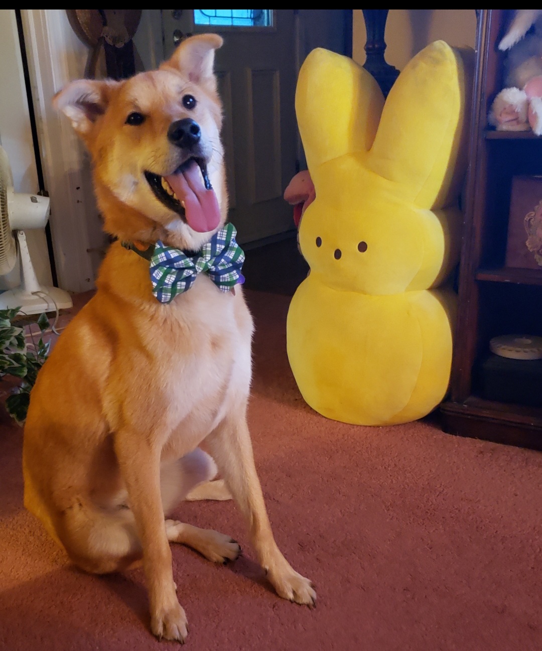 Easter Joy