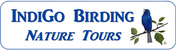 Indigo Birding Nature Tours
