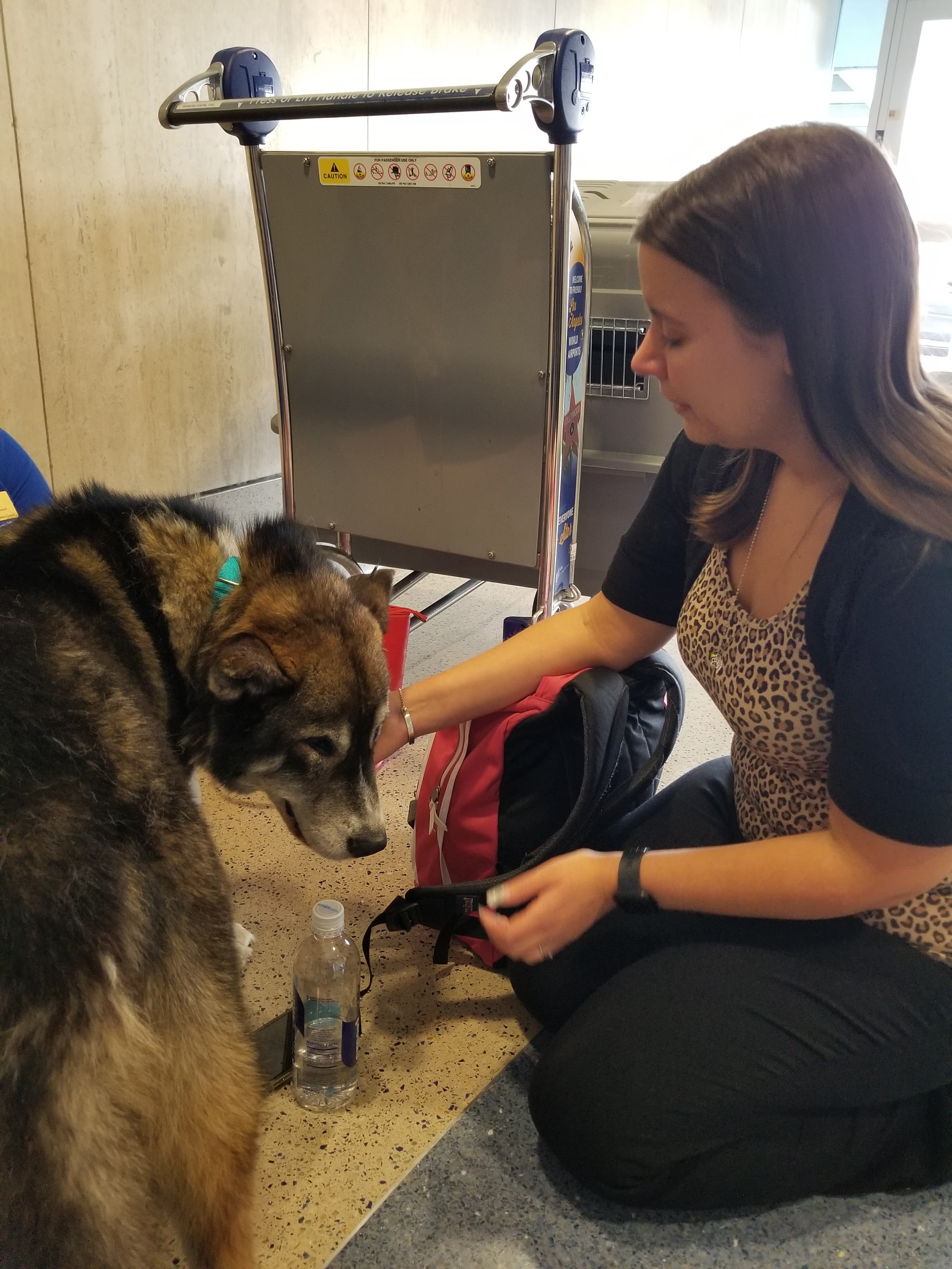 Ivan meeting his new mom at LAX
