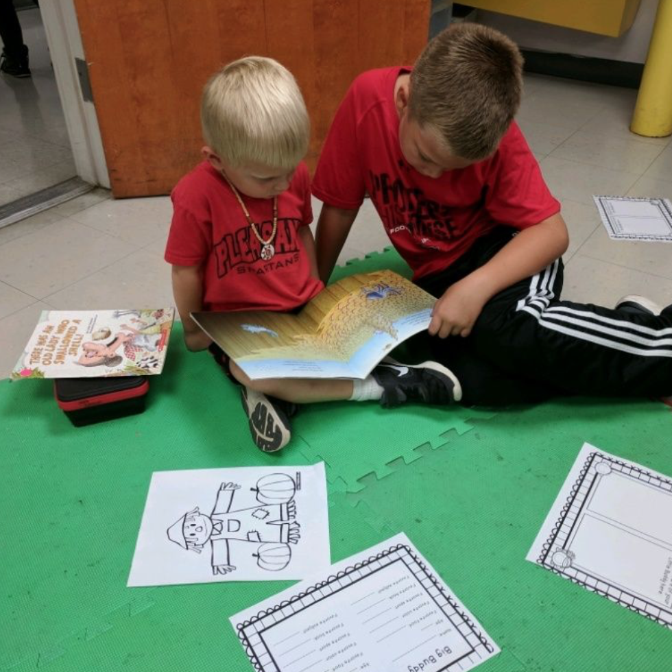 Fostering a love of reading in elementary school.