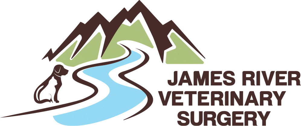 James River Veterinary Surgery