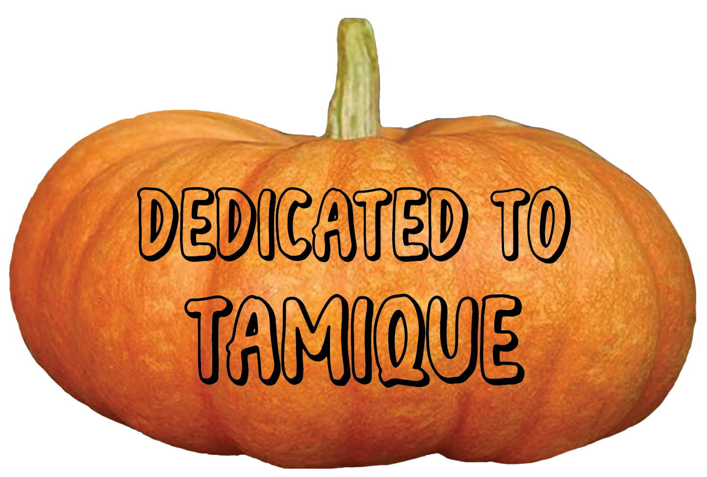 Thank you, John Chute, for your generous donation.