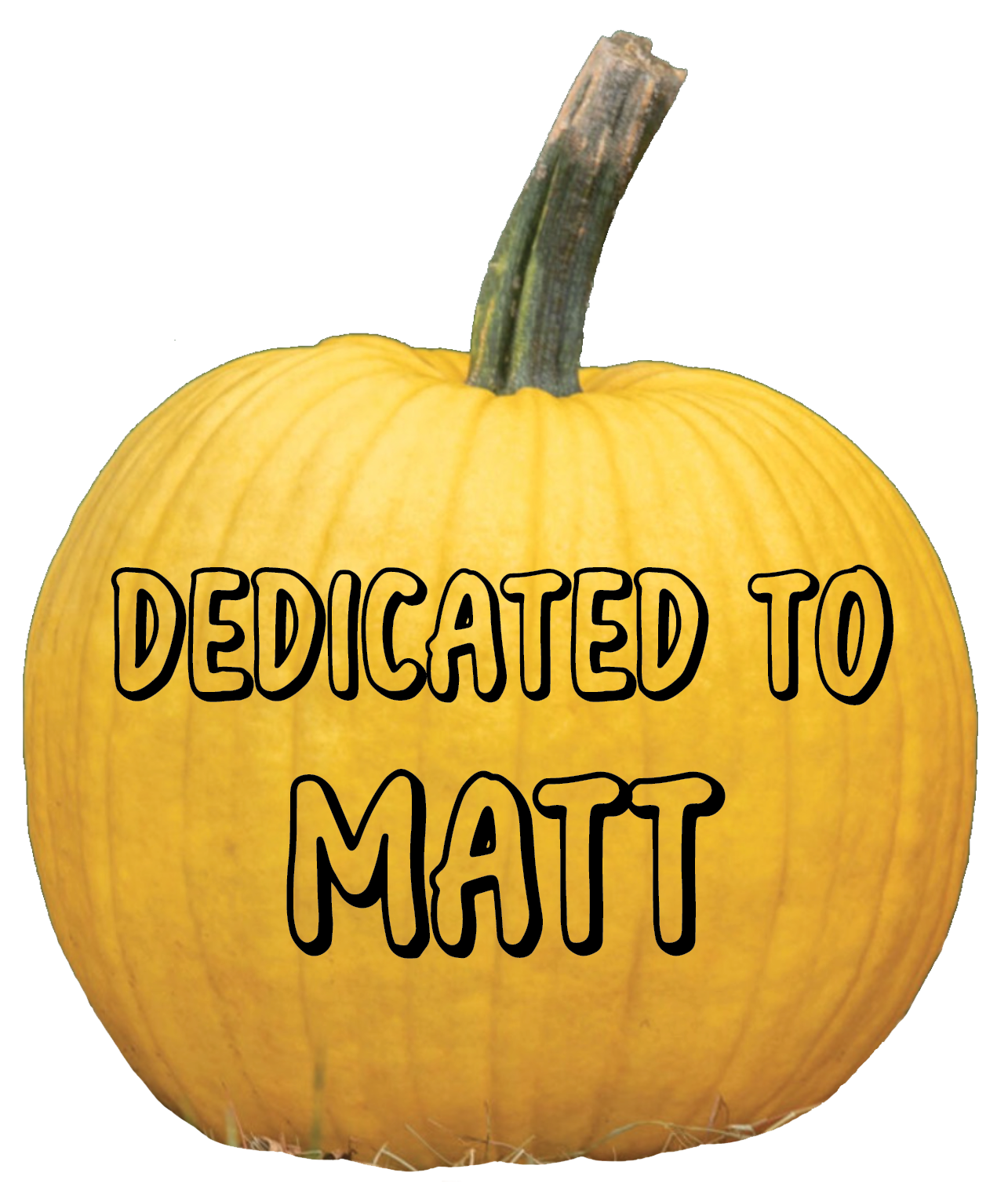 Thank you, John Chute, for your generous donation.