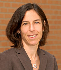 Courtney G. Joslin, Martin Luther King Jr. Professor of Law