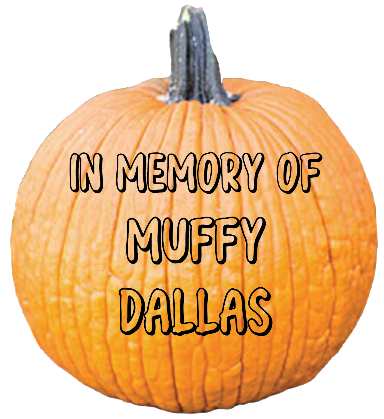 Thank you, Judy D. Bardy, for your donation.