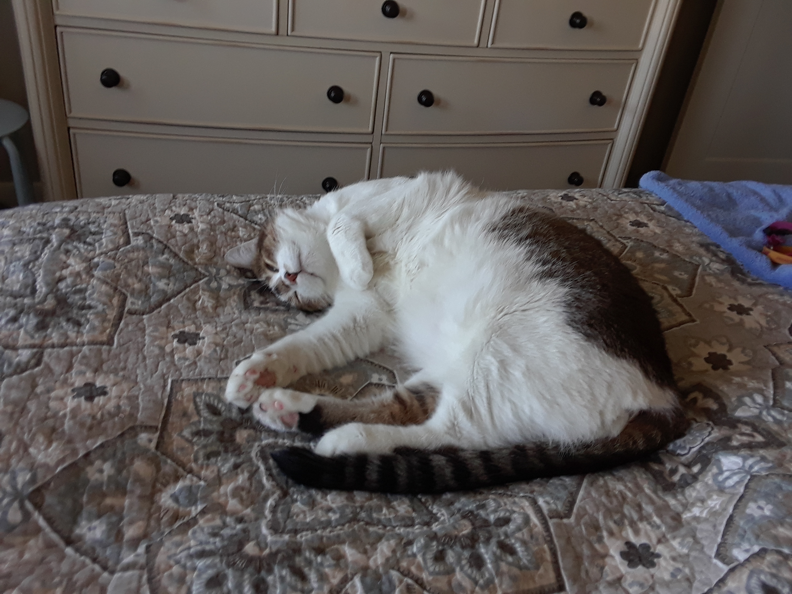 Juniper: Hangin' On Saturday Mornin'