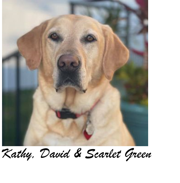 Kathy, David & Scarlet Green
