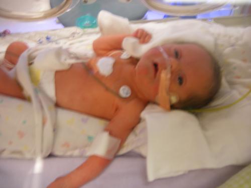 Katie needed a villiage (Day 3)