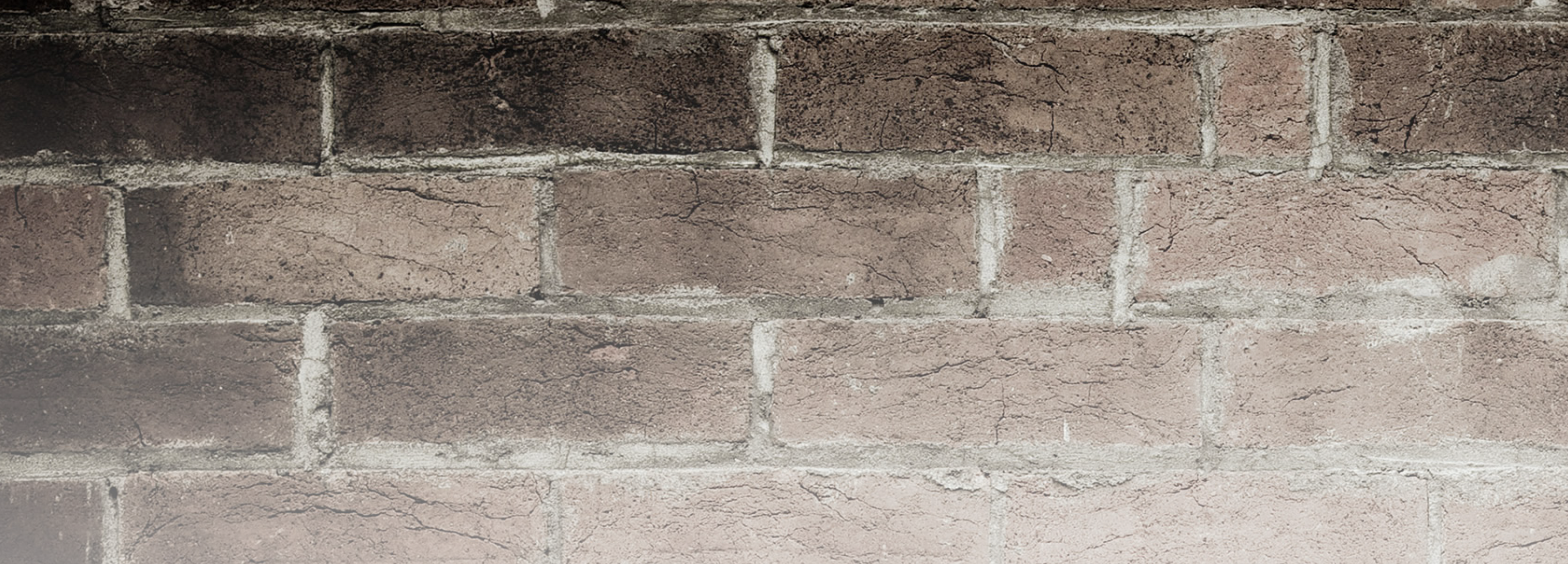 15th Annual La Crosse Down Syndrome Awareness Walk