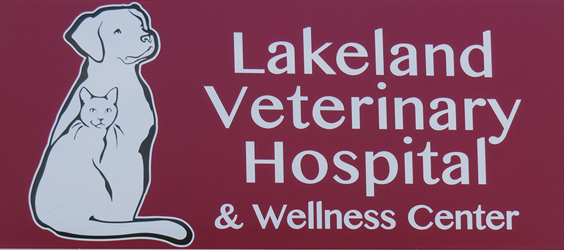 Lakeland Veterinary Hospital & Wellness Center