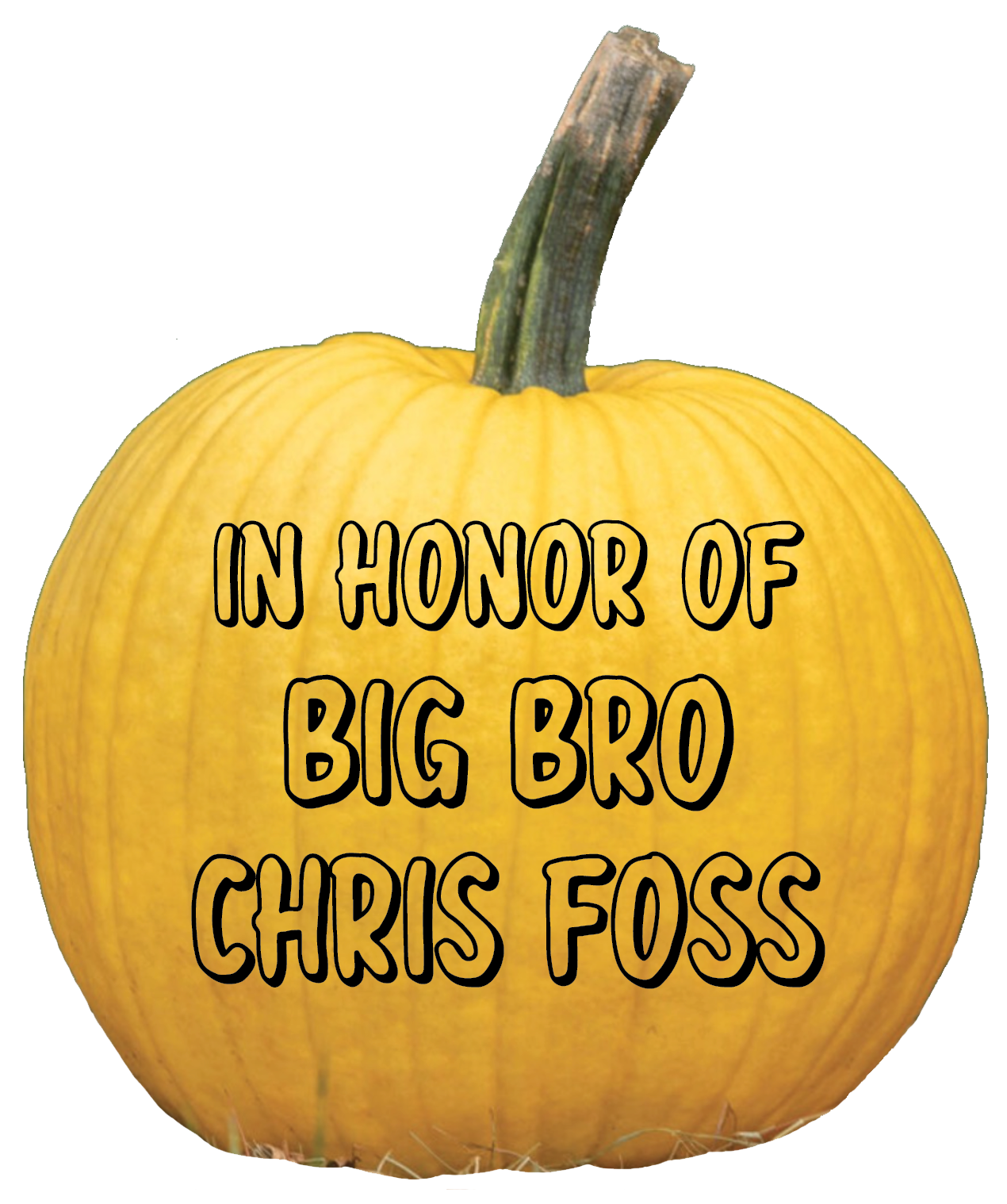 Thank you, Laureen Bergeron, for your donation.