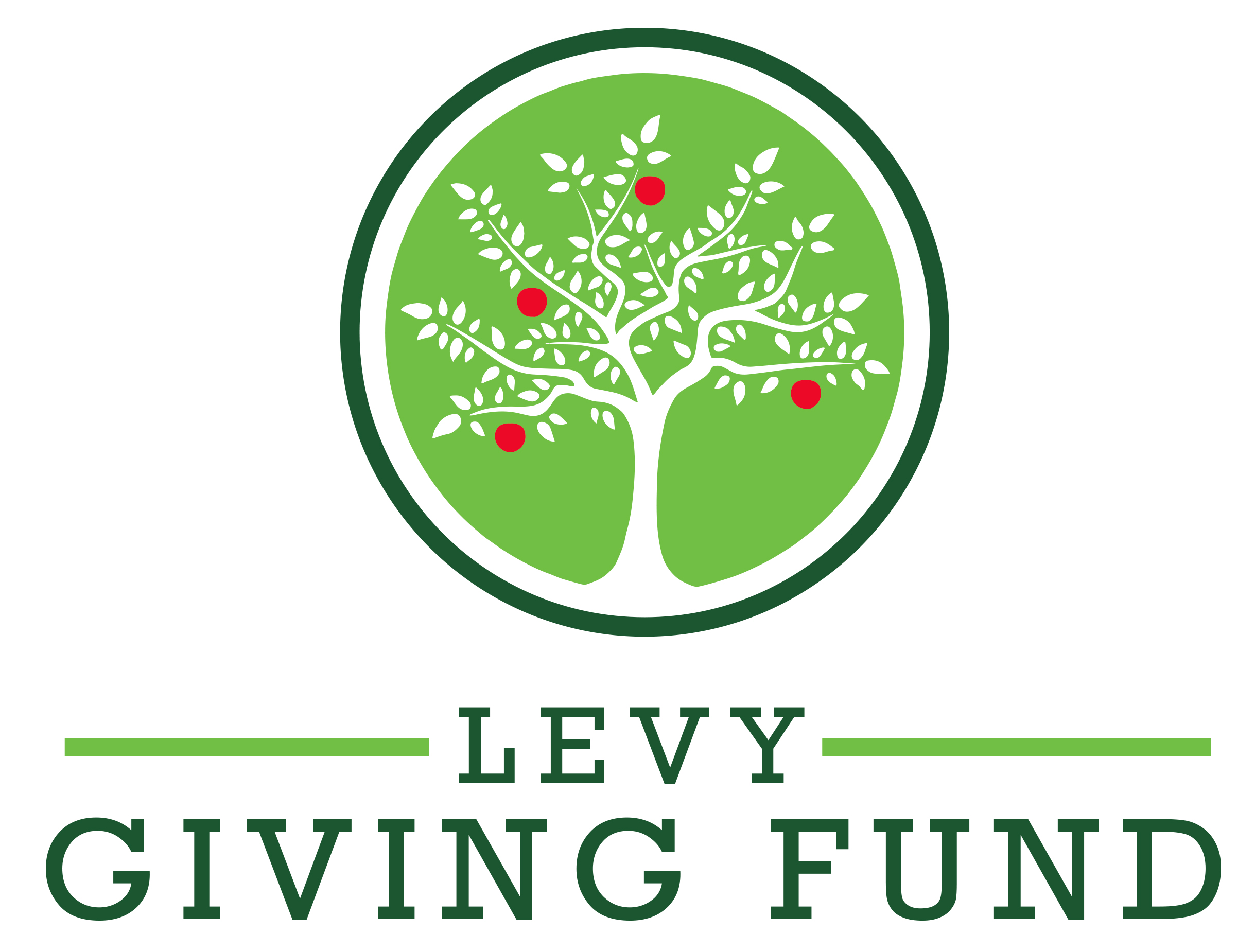 Levy Giving Fund